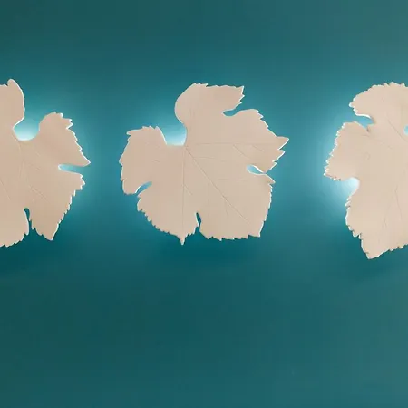 斯佩兰扎酒店 酒店