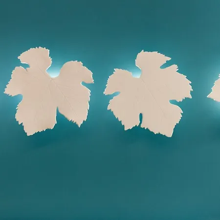 斯佩兰扎酒店 酒店 巴多利诺